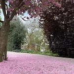 Nyaraló Pipowagen De Luxe *