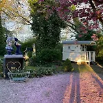Pipowagen De Luxe, Prive Hottub En Zwembad *