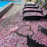 Pipowagen De Luxe Nyaraló