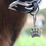 Pipowagen De Luxe Nyaraló