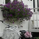 Nyaraló Pipowagen De Luxe *