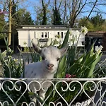 Pipowagen De Luxe * Heythuysen