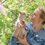 Pipowagen De Luxe Nyaraló Heythuysen