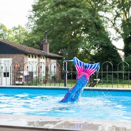 Pipowagen De Luxe, Prive Hottub En Zwembad