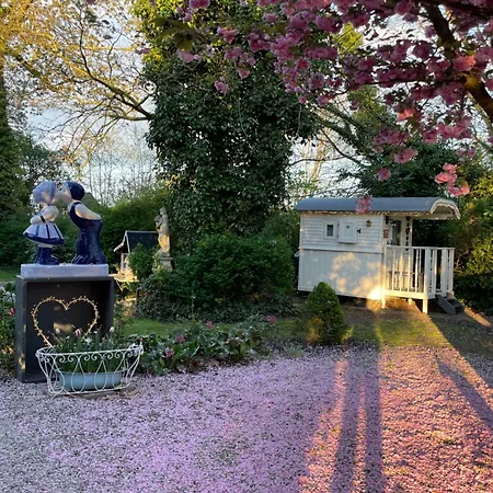 Pipowagen De Luxe, Prive Hottub En Zwembad *