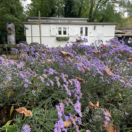 Pipowagen De Luxe, Prive Hottub En Zwembad * Heythuysen