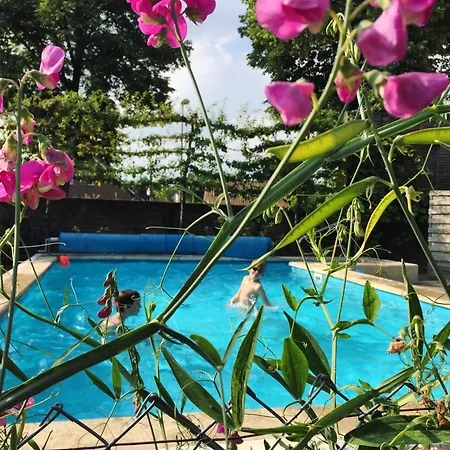 Pipowagen De Luxe, Prive Hottub En Zwembad * Heythuysen