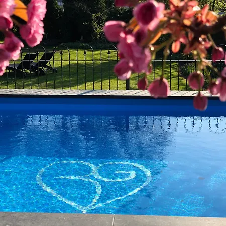 Pipowagen De Luxe, Prive Hottub En Zwembad *