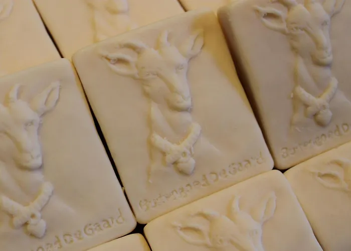 Pipowagen De Luxe Vakantiehuis *