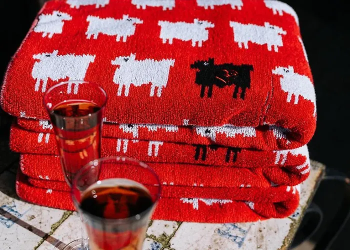 Vakantiehuis Pipowagen De Luxe