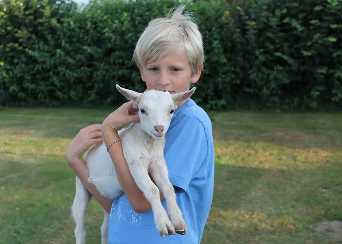 Pipowagen De Luxe Vakantiehuis *