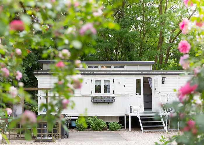 Pipowagen De Luxe Vakantiehuis Heythuysen