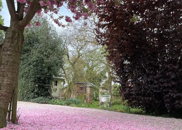 Vakantiehuis Pipowagen De Luxe *