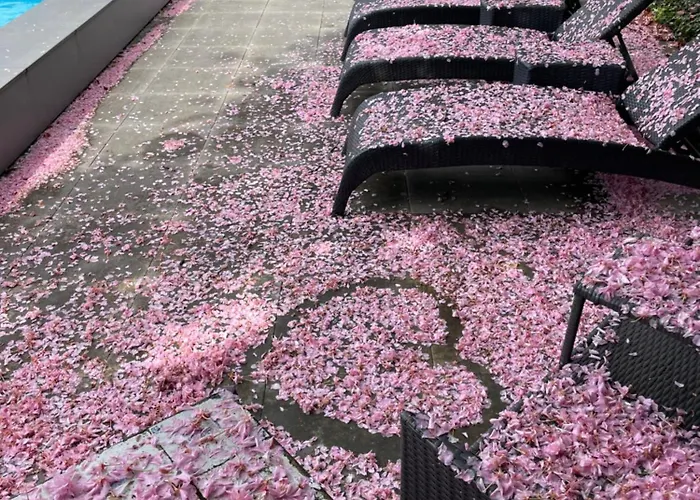 Pipowagen De Luxe Vakantiehuis