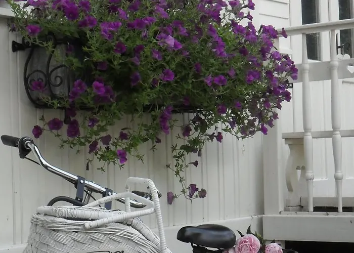 Vakantiehuis Pipowagen De Luxe *