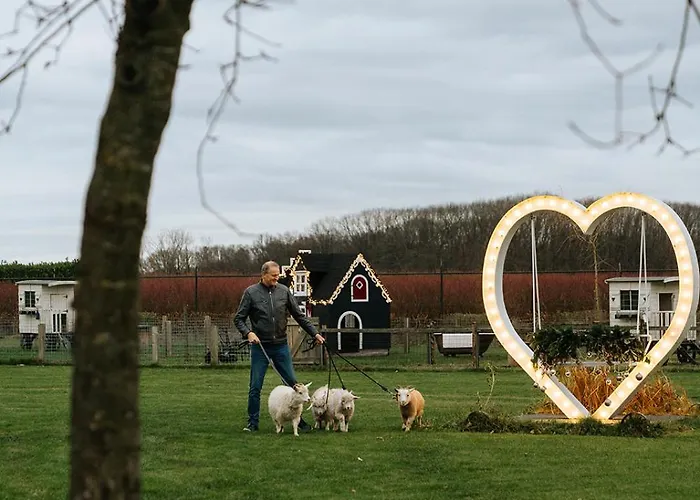 Vakantiehuis Pipowagen De Luxe *