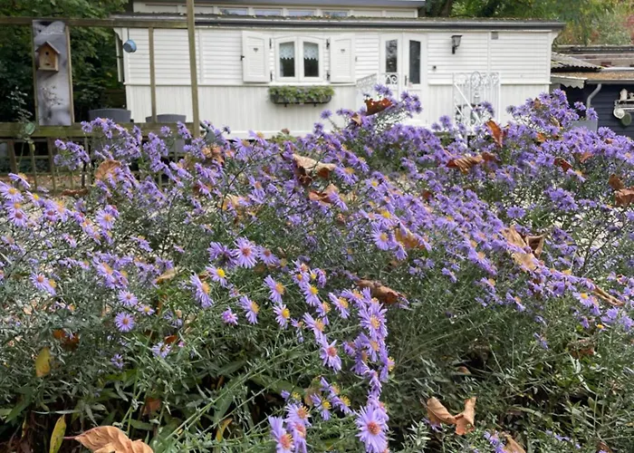 Pipowagen De Luxe * Heythuysen