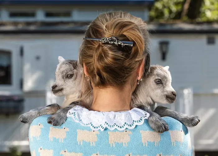 Vakantiehuis Pipowagen De Luxe