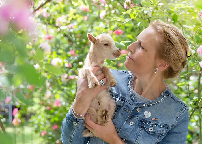 Pipowagen De Luxe Vakantiehuis Heythuysen